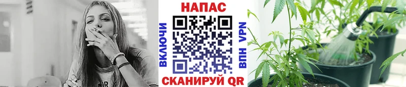 Наркошоп Тамбов Конопля A-PVP Меф Кокаин