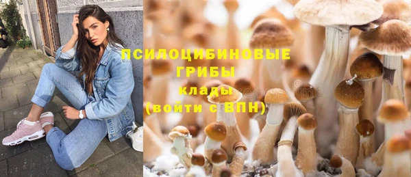 ГАЛЛЮЦИНОГЕННЫЕ ГРИБЫ Медногорск