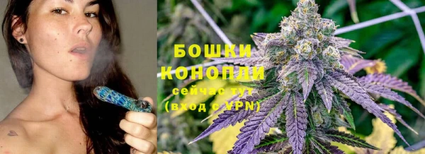 ГАЛЛЮЦИНОГЕННЫЕ ГРИБЫ Медногорск
