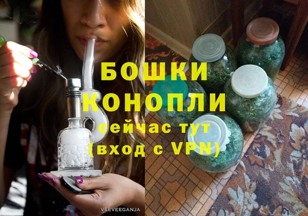 ГАЛЛЮЦИНОГЕННЫЕ ГРИБЫ Медногорск