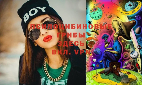 тгк Медвежьегорск