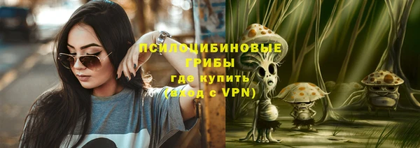 тгк Медвежьегорск
