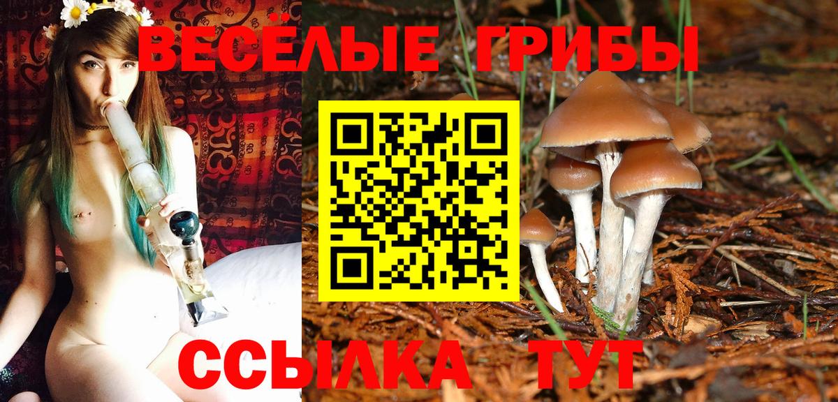 Псилоцибиновые грибы ЛСД  Вход с VPN  Тамбов 
