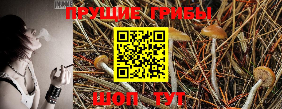 Псилоцибиновые грибы Magic Shrooms Тамбов